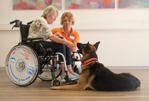 Hundetherapie in den Sankt Rochus Kliniken Bad Schönborn